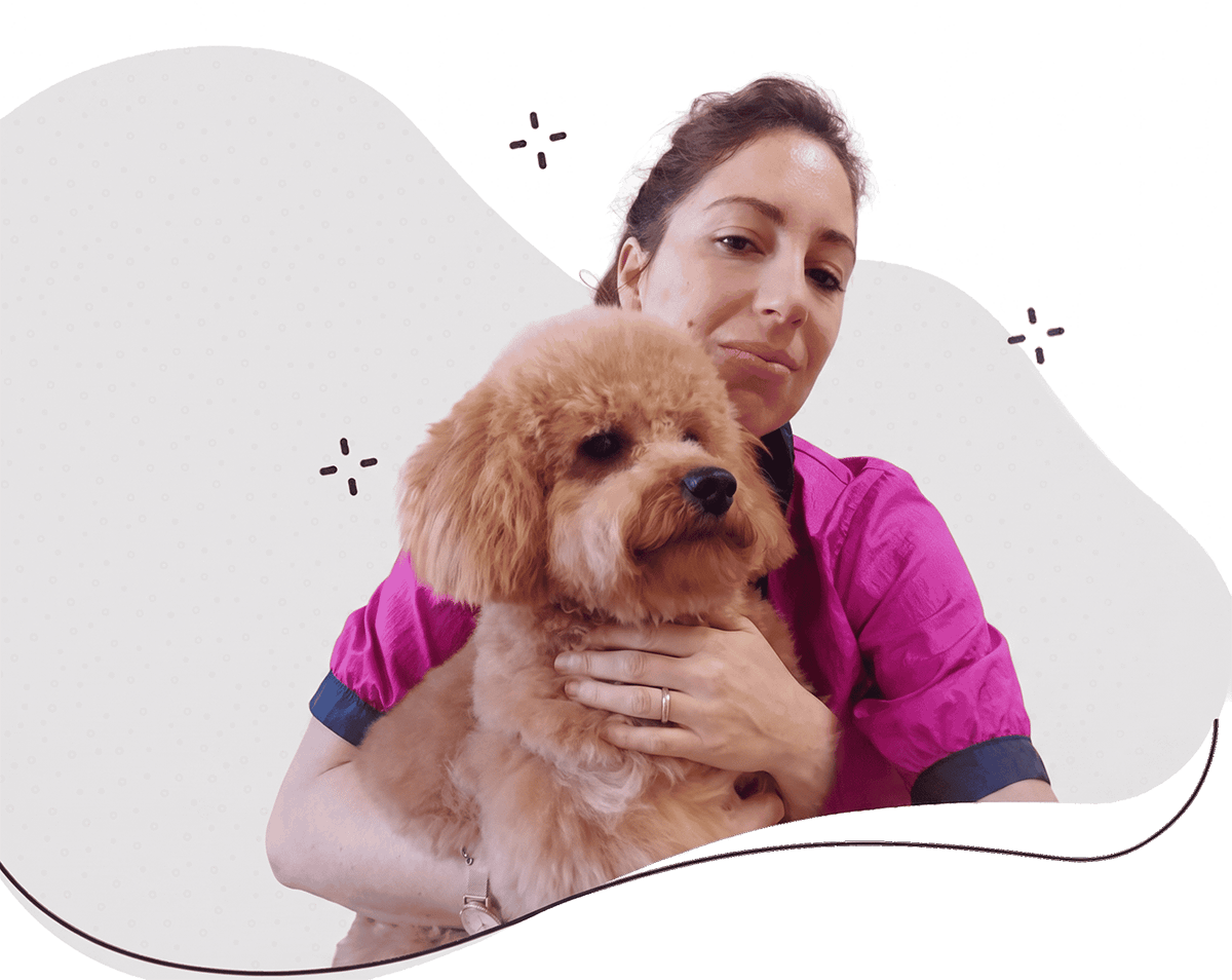 sofi-peluqueria-canina-valdaran-aranguau Peluquería Canina en vielha en la val daran
