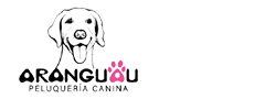Aranguau